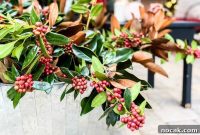 Holiday Decorating with Greenery: Stylish Ideas for Festive Homes
