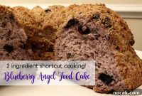Two-Ingredient Blueberry Angel Food Cake Recipe