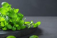 Peppermint Oil Uses, Benefits, and Safe Ways to Apply It