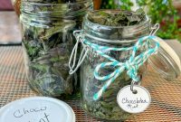 How to Dry Mint in a Dehydrator: A Complete Guide