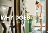 Why Does Your Weight Fluctuate Day to Day?