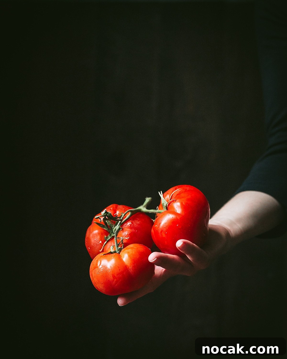Paul Prudhomme’s Dutch Oven Jambalaya Recipe 5 dramatic image of hand holding rich red plump tomatoes for Jambalaya