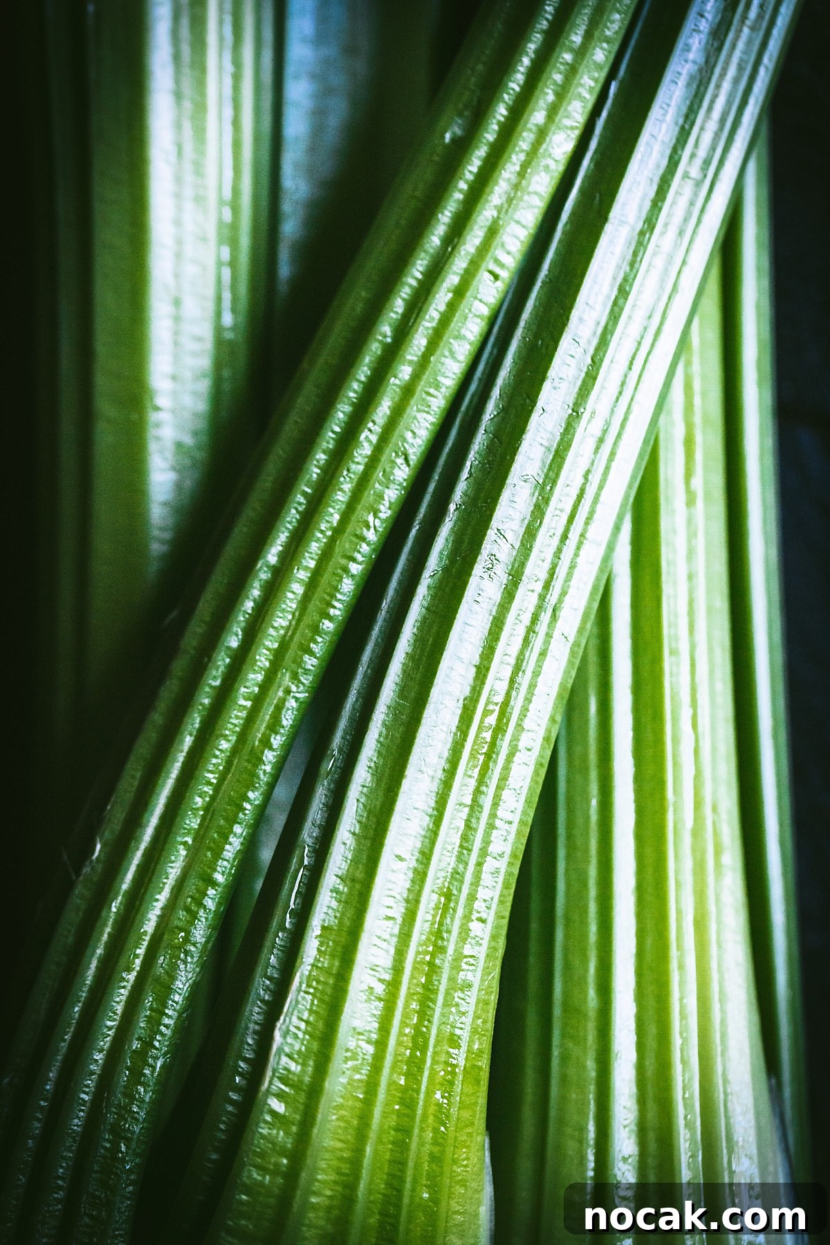 Paul Prudhomme’s Dutch Oven Jambalaya Recipe 6 macro shot of celery stalks focusing on color and texture