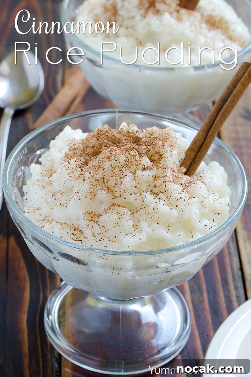 Creamy Cinnamon Rice Pudding Recipe for Comforting Dessert 2 Cinnamon Rice Pudding