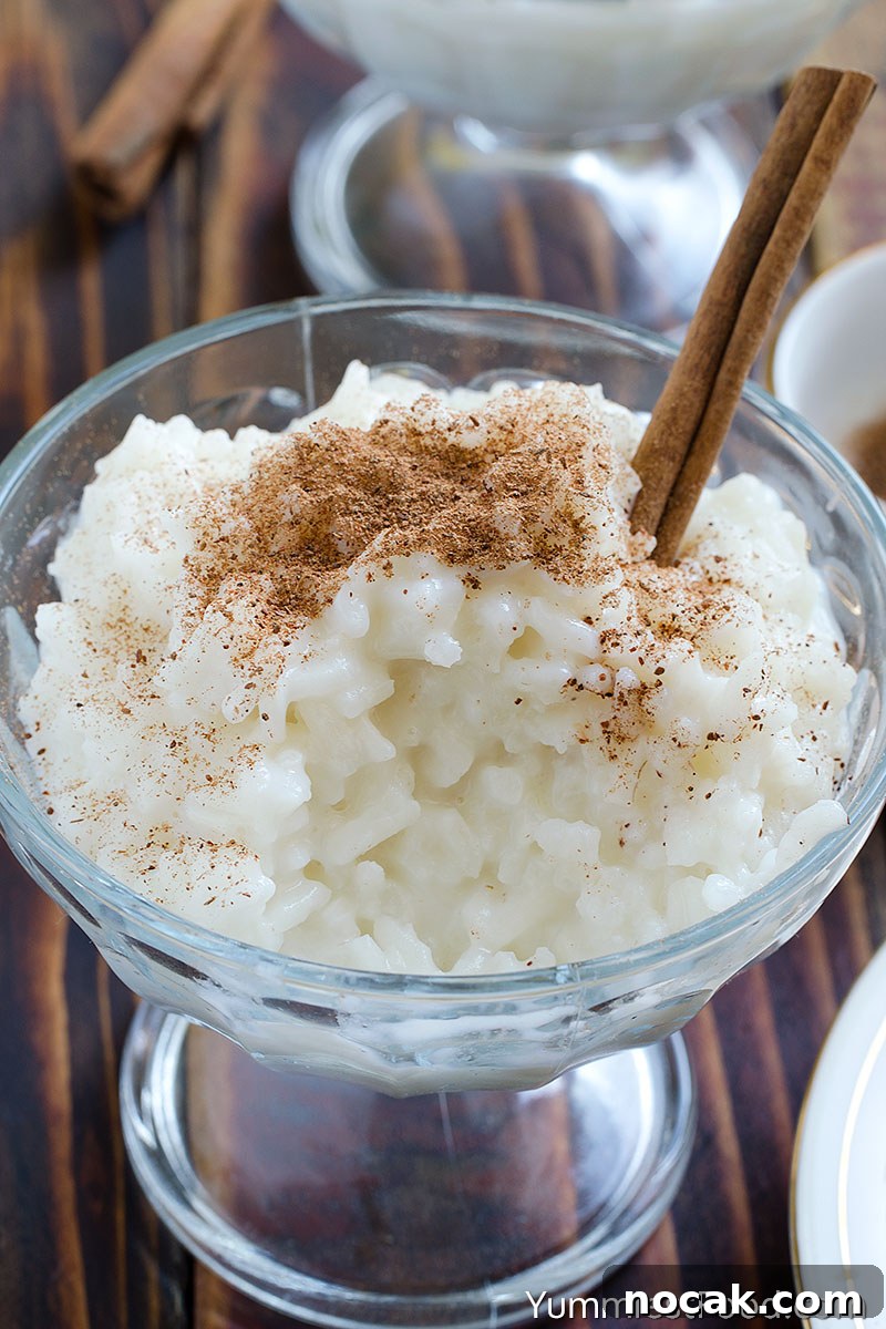 Creamy Cinnamon Rice Pudding Recipe for Comforting Dessert 3 Cinnamon Rice Pudding - Served