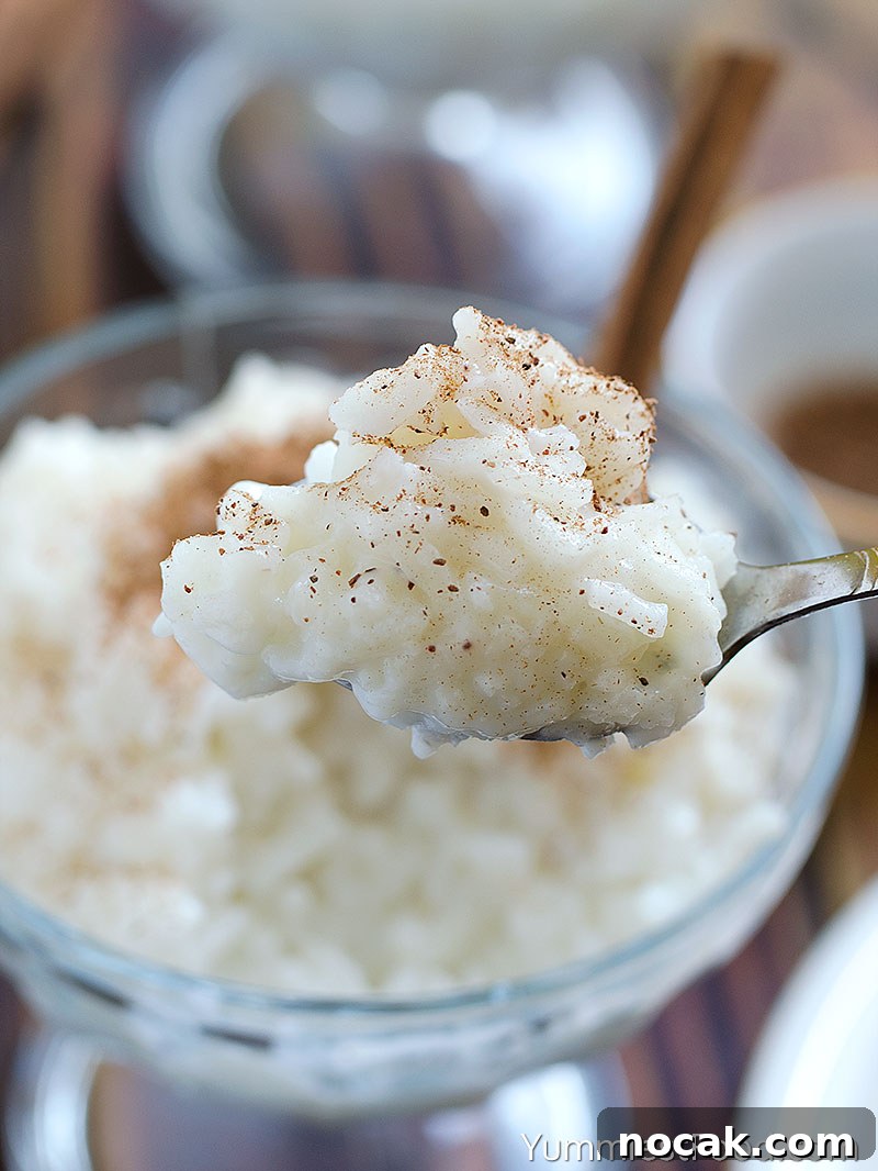 Creamy Cinnamon Rice Pudding Recipe for Comforting Dessert 4 Rice Pudding - Close Up