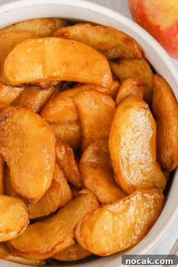 Air fried apples sprinkled with cinnamon in a small white bowl with a spoon next to the bowl.
