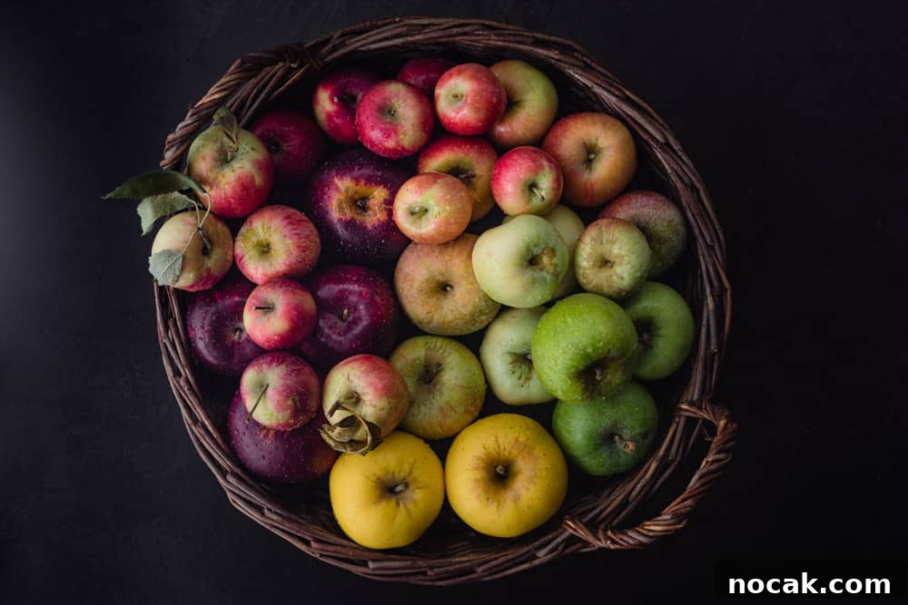 Red, pink, yellow, green and purple apples in a woven basket; overhead shot on a black background.