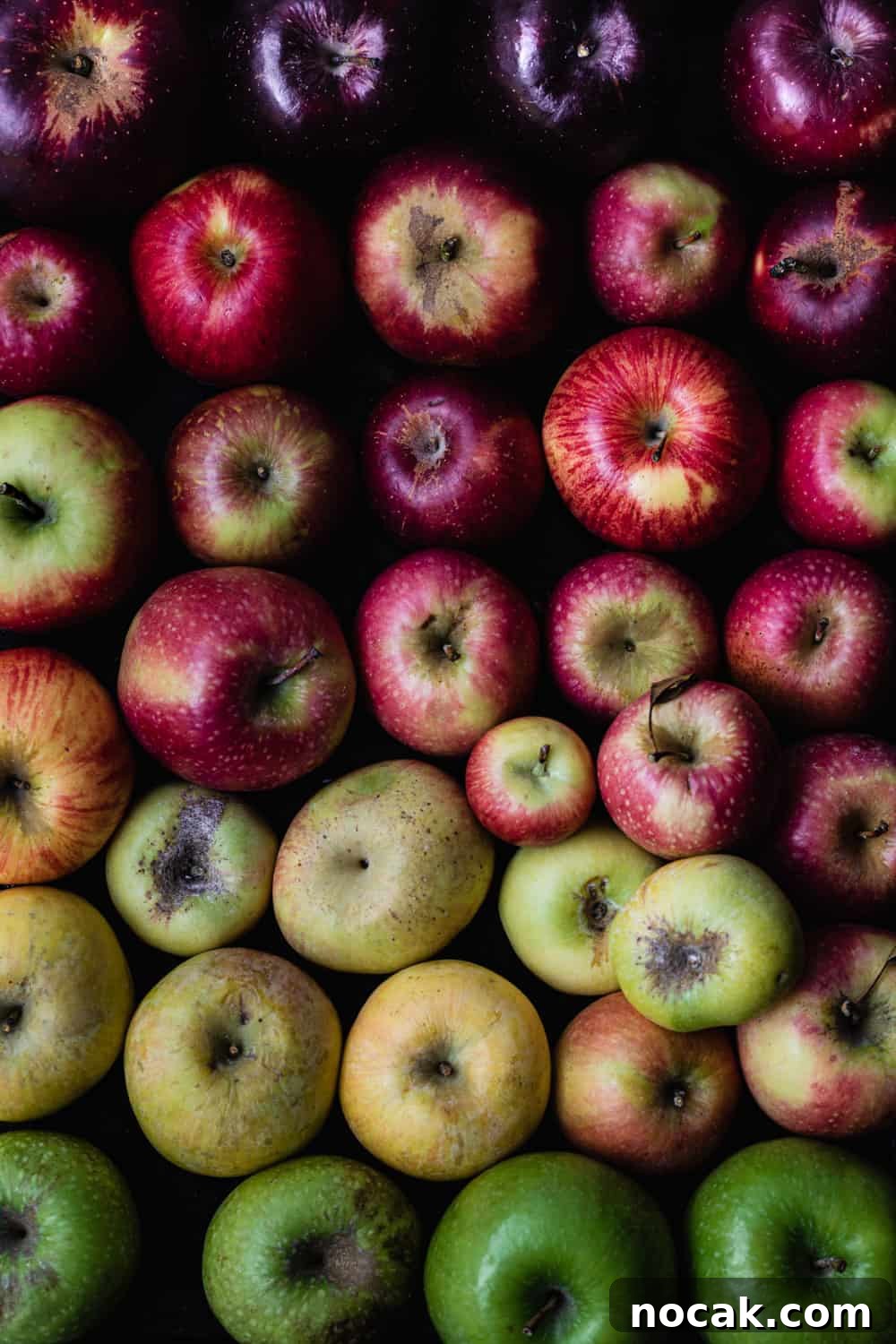 Purple, red, pink, yellow and green apples arranged like a rainbow. Overhead shot.