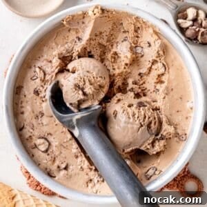 Chocolate Malted Crunch Ice Cream Recipe: Creamy Malted Chocolate with Crispy Crunch 17 img 13733 16