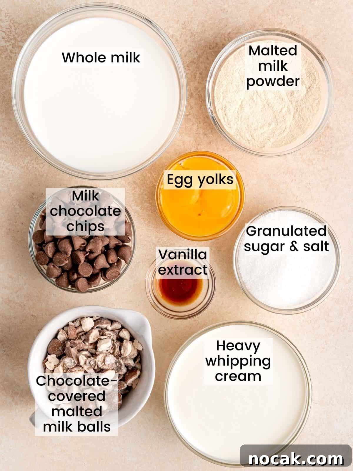 Chocolate Malted Crunch Ice Cream Recipe: Creamy Malted Chocolate with Crispy Crunch 3 Ingredients needed to make homemade chocolate malt ice cream with Whoppers.