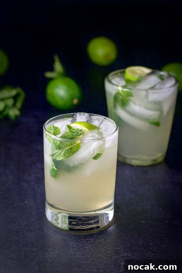Top 5 Cocktail Recipes from 2017: Classic Drinks to Try 4 Two glasses of the mojito with limes and mint in the background
