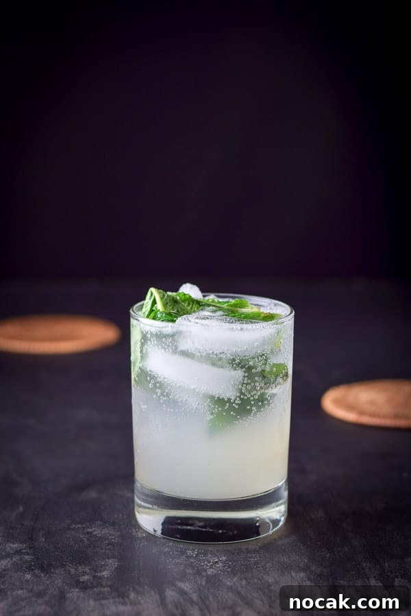 Top 5 Cocktail Recipes from 2017: Classic Drinks to Try 5 A ginger and grapefruit mojito on a black table with coasters in the background