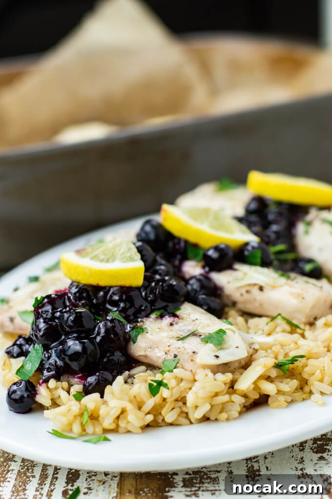 Oven-Baked Mahi Mahi with Blueberry Glaze 2 Three pieces of baked mahi mahi sits atop a bed of brown rice with blueberry sauce and lemon wedges.