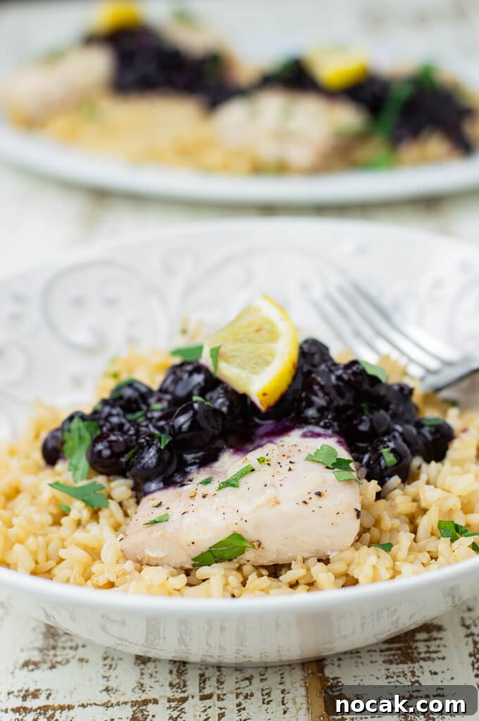 Oven-Baked Mahi Mahi with Blueberry Glaze 7 A bowl of brown rice with a piece of baked mahi mahi and blueberry sauce.