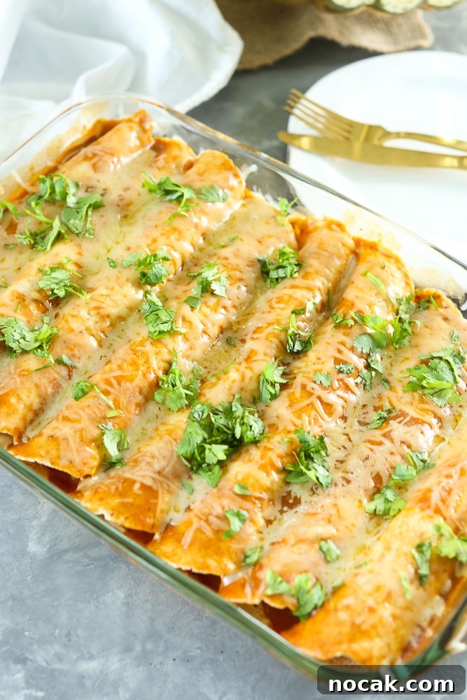 Butternut Squash and Black Bean Enchilada Recipe in pan with cilantro on top