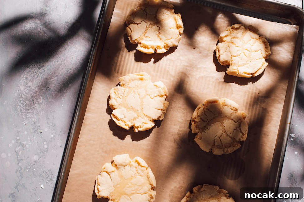 Soft Chewy Lemon Sugar Cookies Recipe for Perfect Texture 9 baked lemon sugar cookies on cookie sheet