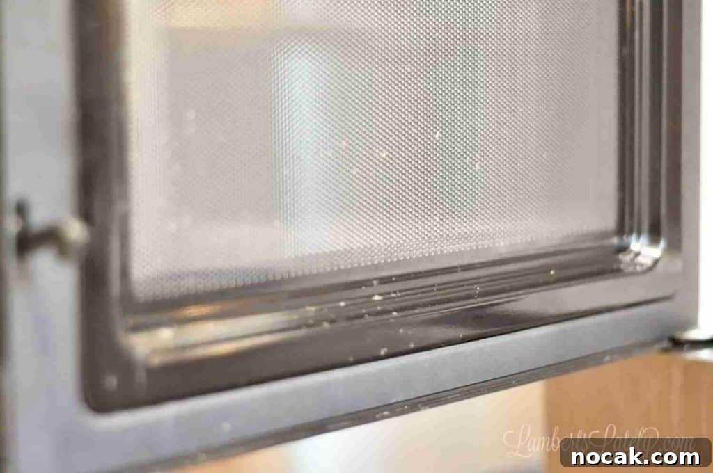 Clean Your Microwave Quickly Using Vinegar and Water 4 dirty microwave door before cleaning.