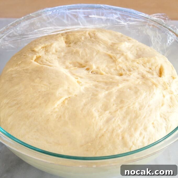 Homemade Apple Kolache Recipe with Video Tutorial 6 Soft kolache dough after rising to the top of bowl