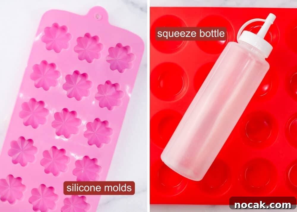 Silicone molds and squeeze bottle