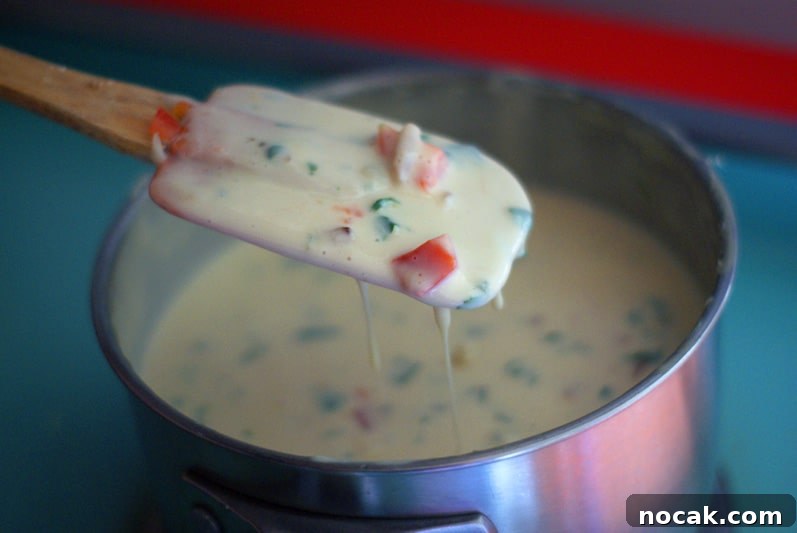 Creamy Queso Blanco Dip Recipe for Chips and Tacos 10 img 1572 10