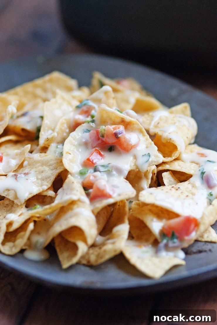 Creamy Queso Blanco Dip Recipe for Chips and Tacos 11 Queso Blanco Dip