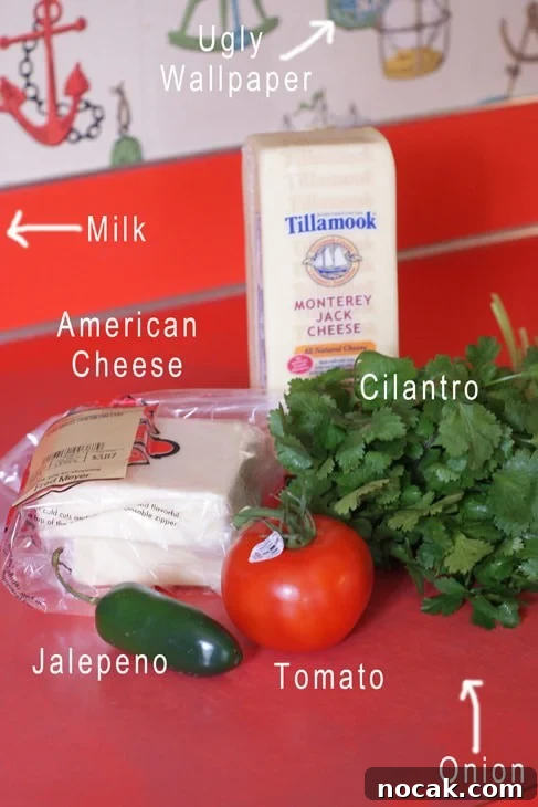 Creamy Queso Blanco Dip Recipe for Chips and Tacos 3 img 1572 3