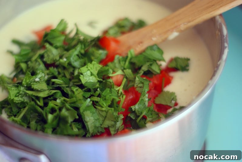 Creamy Queso Blanco Dip Recipe for Chips and Tacos 9 img 1572 9