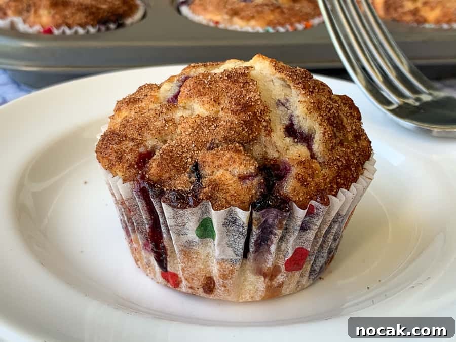 Blueberry Banana Oat Muffins for Quick Breakfast 2 Rounded top on banana blueberry oatmeal muffin on white plate with fork