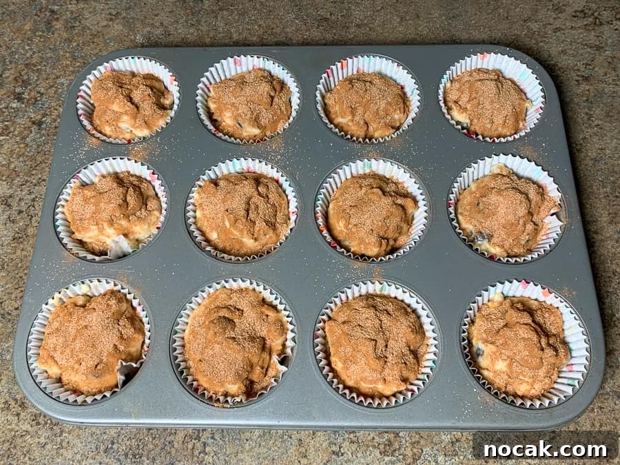 Blueberry Banana Oat Muffins for Quick Breakfast 8 Lined muffin tins full of muffin batter with cinnamon sugar topping