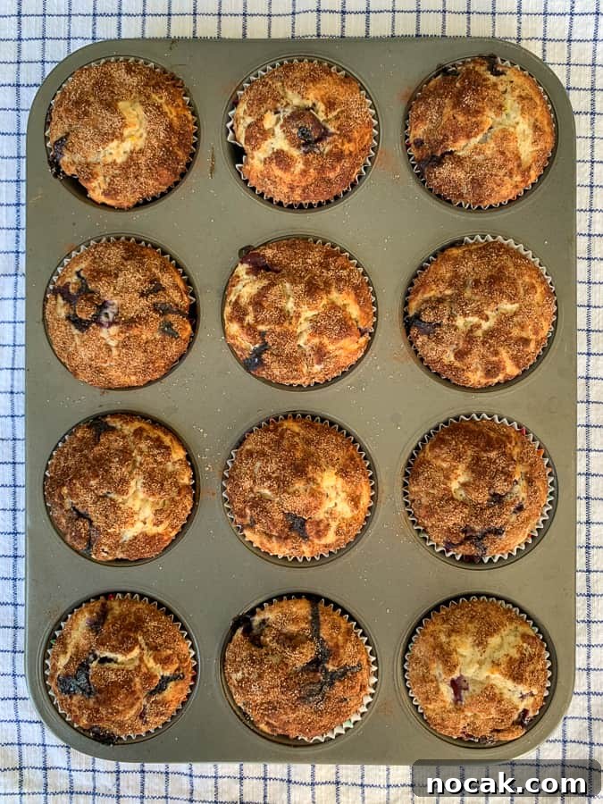 Blueberry Banana Oat Muffins for Quick Breakfast 9 Muffin tin full of baked blueberry banana oatmeal muffins on blue plaid napkin
