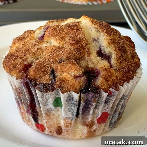 Blueberry Banana Oat Muffins for Quick Breakfast 10 Beautiful blueberry muffin with cinnamon sugar topping on plate