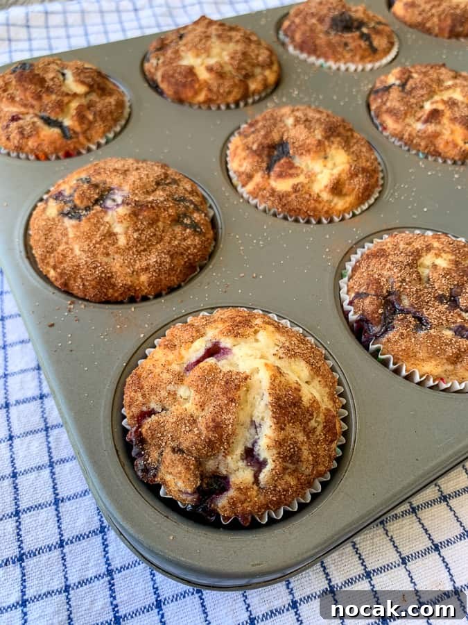 Blueberry Banana Oat Muffins for Quick Breakfast 3 Cinnamon sugar topped blueberry oatmeal muffins in tin on blue plaid napkin