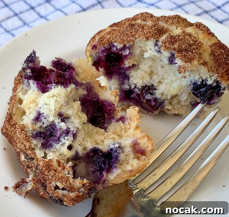 Blueberry Banana Oat Muffins for Quick Breakfast 4 Muffin broken in half revealing blueberries on white plate with fork