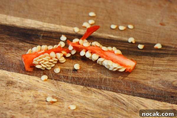 How to Save and Store Chili Pepper Seeds for Next Season 6 Chilli Seeds on Pith