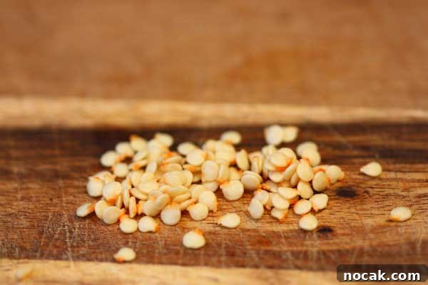 How to Save and Store Chili Pepper Seeds for Next Season 7 Chilli Seeds Ready for Drying