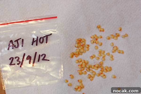 How to Save and Store Chili Pepper Seeds for Next Season 8 Drying Chilli Seeds