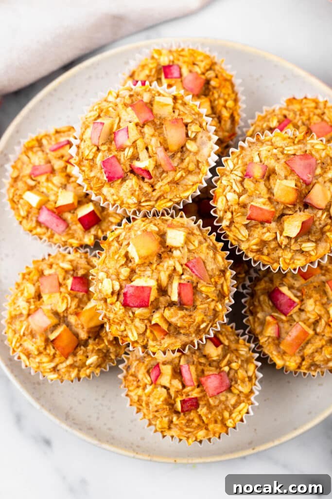 27 High-Protein Fall Snacks to Help You Build Muscle 12 Apple Cinnamon Protein Muffins