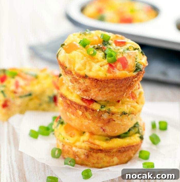 27 High-Protein Fall Snacks to Help You Build Muscle 29 Omelet Muffins