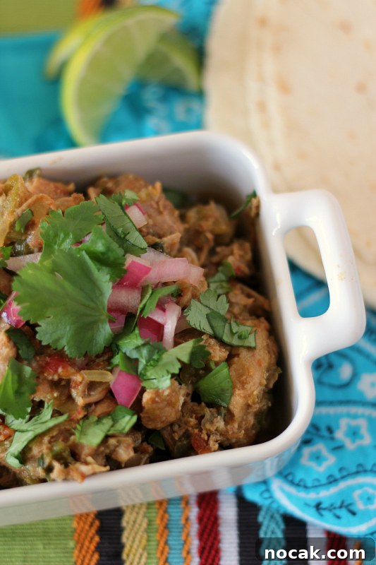 Authentic Green Chile Pork Stew Recipe with Tender Pork and Salsa Verde 2 A big bowl of Green Chile Pork Stew doesn't need anything else to make it amazing, but I love serving it with chips or with some tortillas and fresh lime wedges.