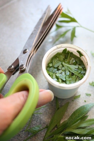 25 Clever Ways to Reuse Keurig K-Cups for Crafts & Home Use 6 freeze fresh herbs in k cups
