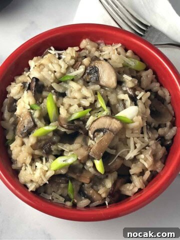 mushroom risotto in a small red bowl