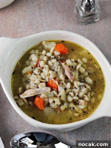 bowl of chicken and barley soup.