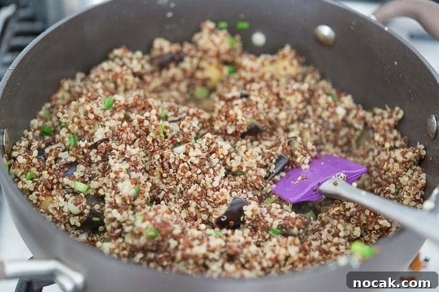 Cooked Tri-Color Quinoa Stirred Into Eggplant In Pan