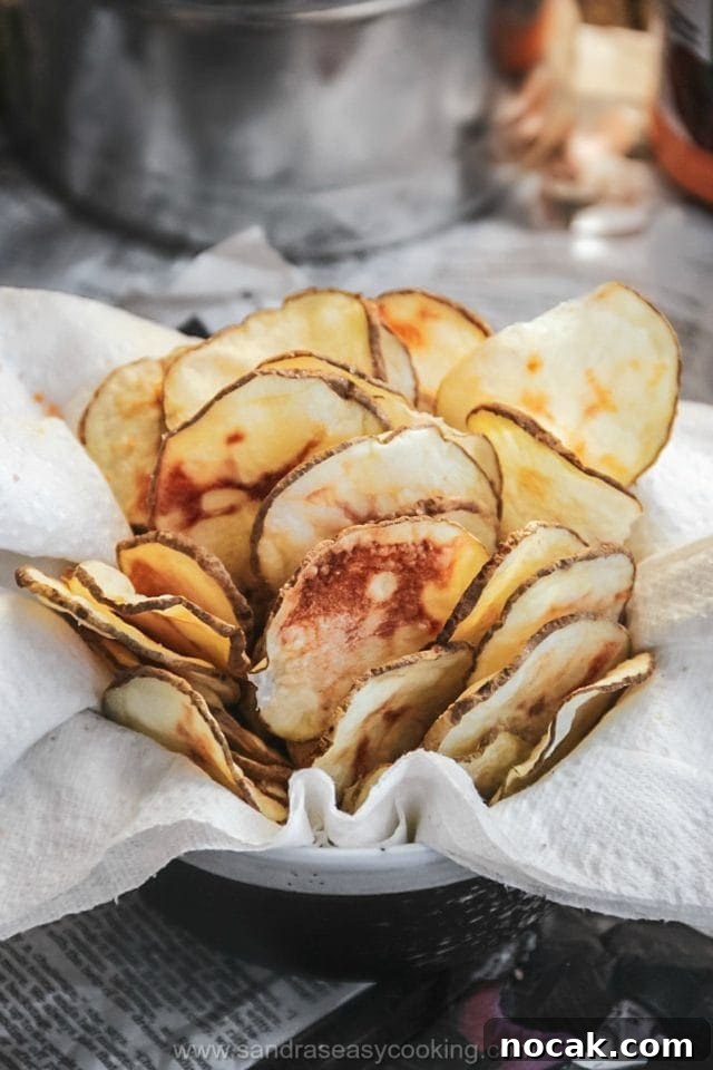 Crispy Microwave Potato Chips in Minutes: Homemade Recipe 2 Microwave Potato Chips