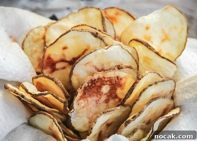 Microwave Potato Chips