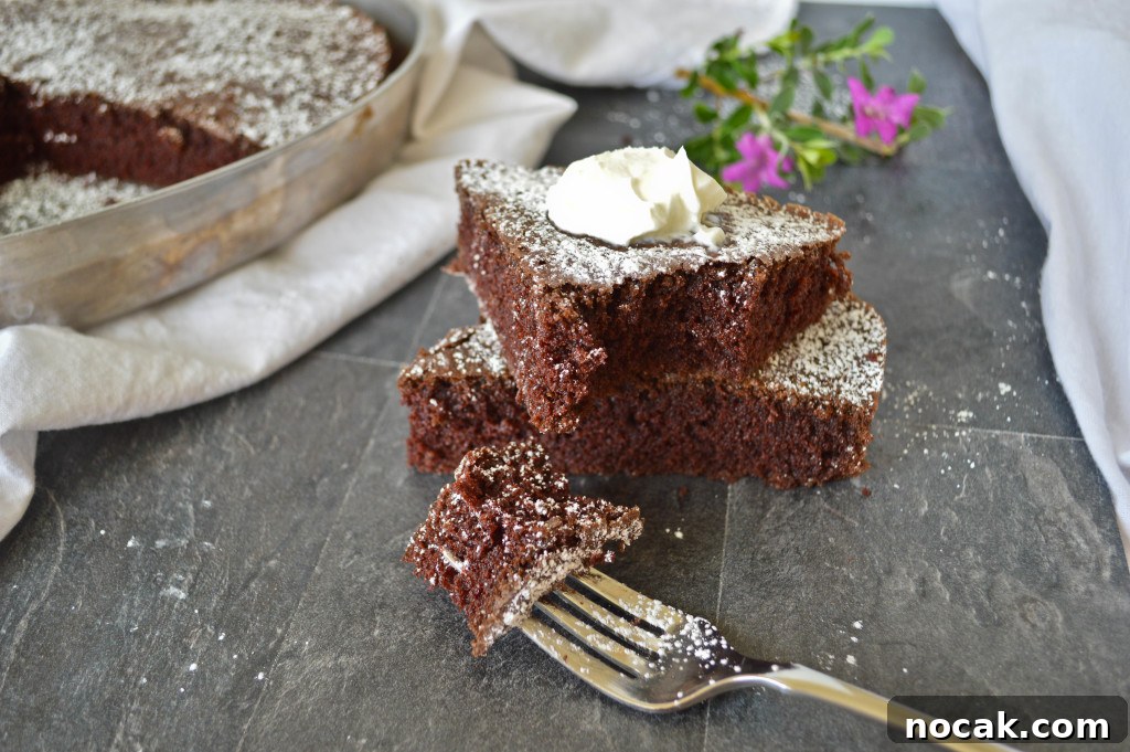 Low-Sugar Chocolate Cake Recipe with Moist Texture 2 Healthy Chocolate Cake
