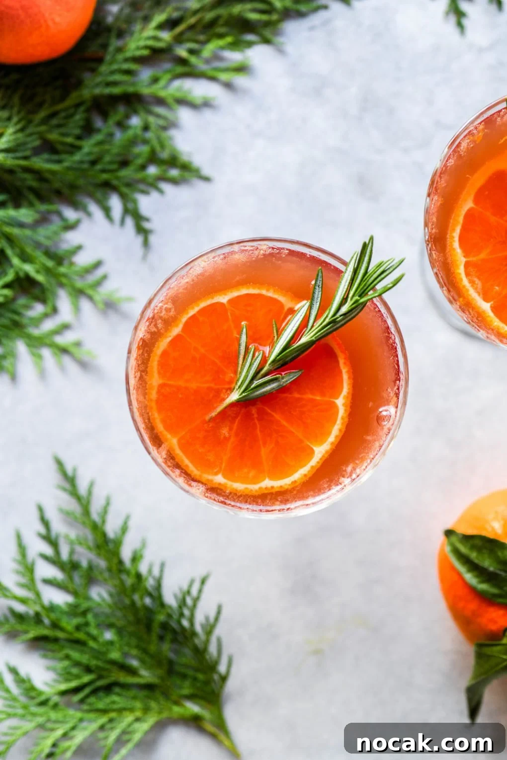 Tangerine Red Wine Spritzer Recipe for Refreshing Summer Drinks 2 img 17832 1