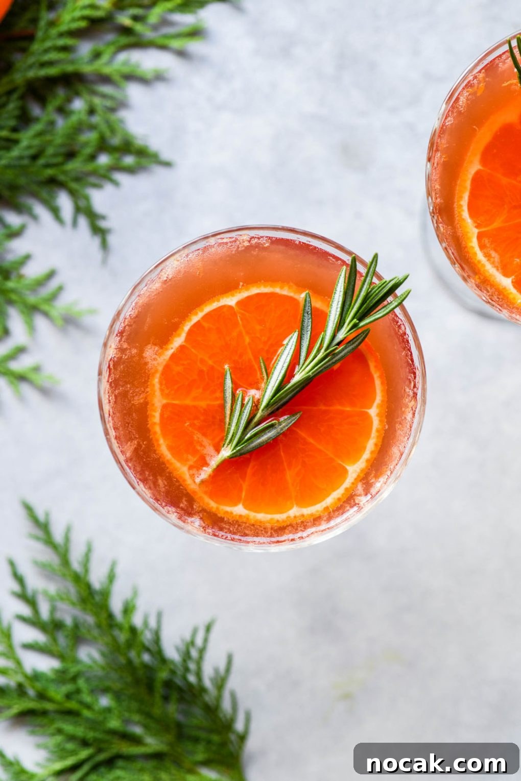 Tangerine Red Wine Spritzer Recipe for Refreshing Summer Drinks 5 img 17832 4