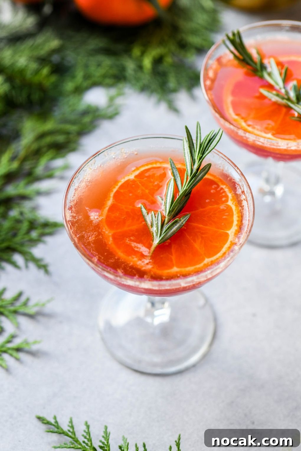 Tangerine Red Wine Spritzer Recipe for Refreshing Summer Drinks 6 img 17832 5